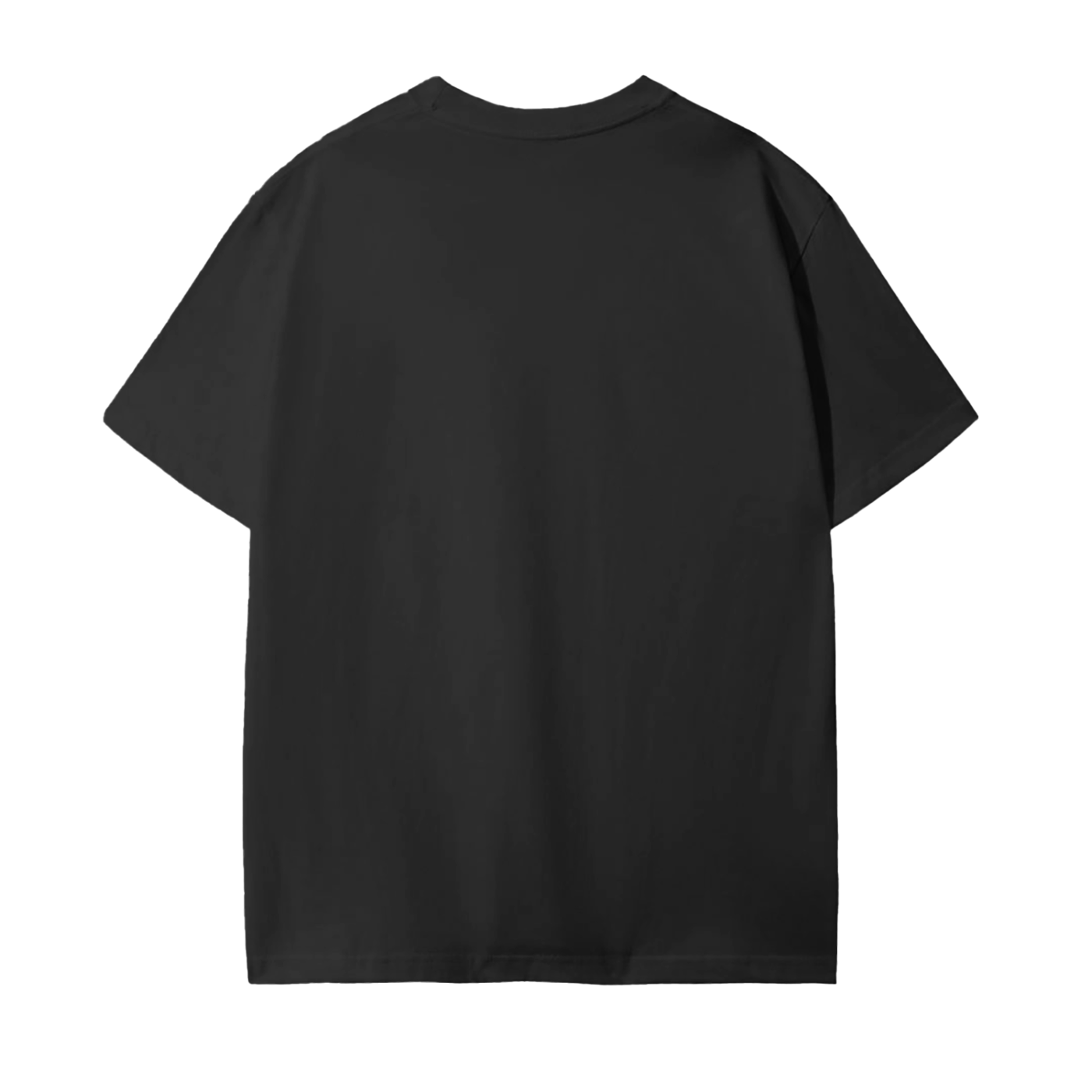 ZION T-Shirt